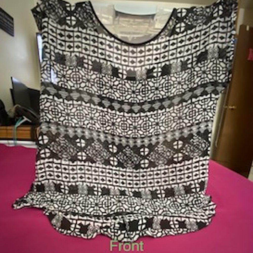 Love + Grace Sheer Casual Blouse